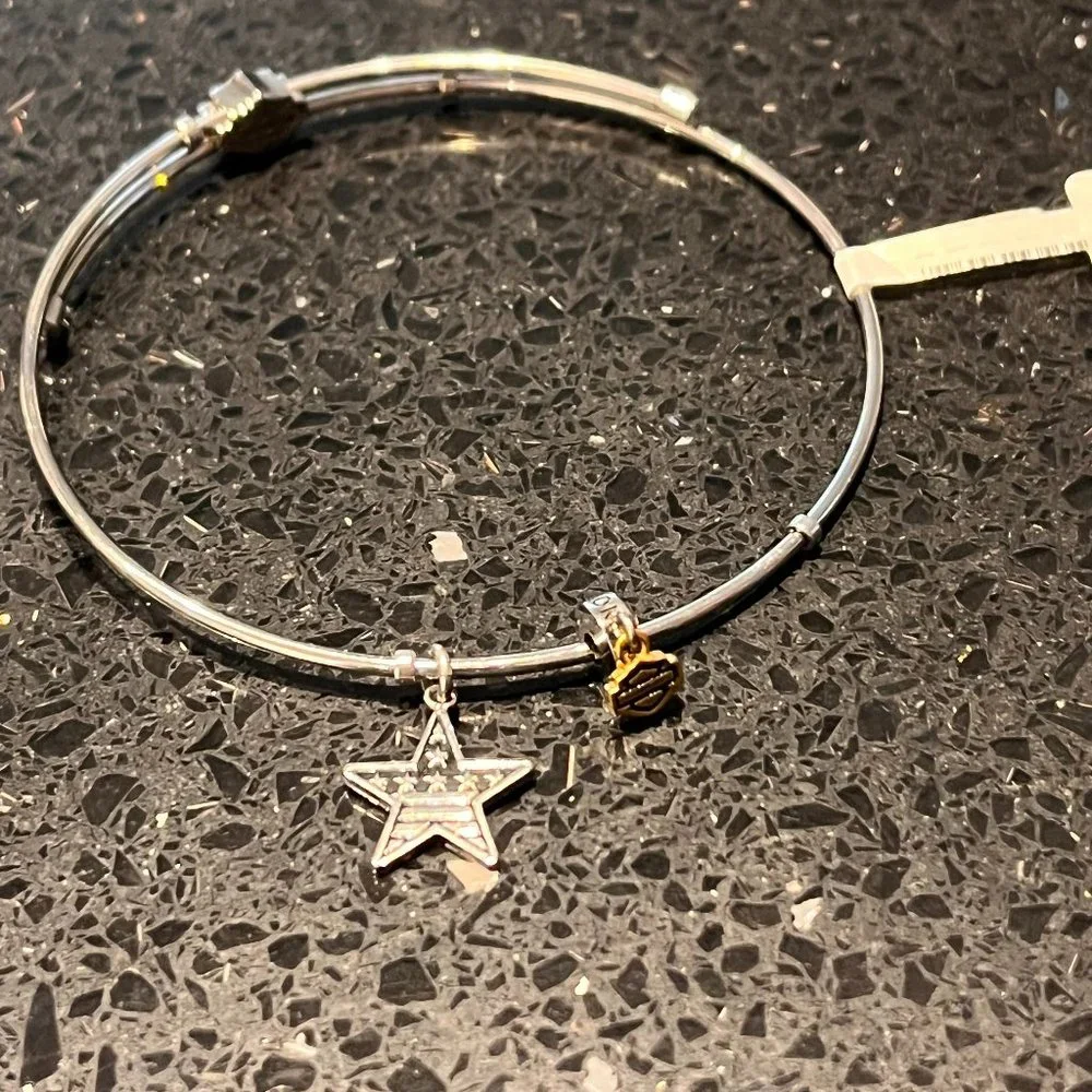 HARLEY DAVIDSON STAINLESS STEEL LADIES STAR BANGLE BRACELET - Picture 1 of 3